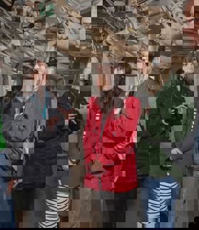 IWM SITE BELF 003460