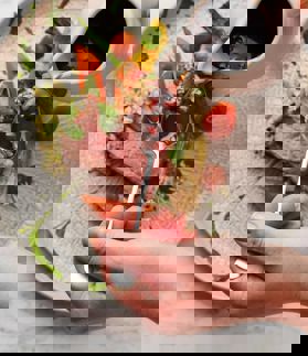 210511 RA Herdwicklamb 022